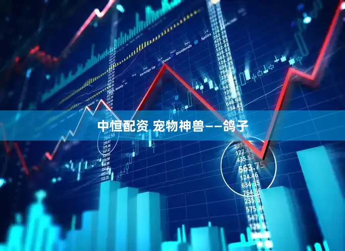 中恒配资 宠物神兽——鸽子