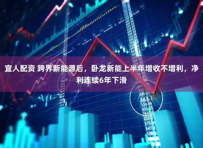 宜人配资 跨界新能源后，卧龙新能上半年增收不增利，净利连续6年下滑