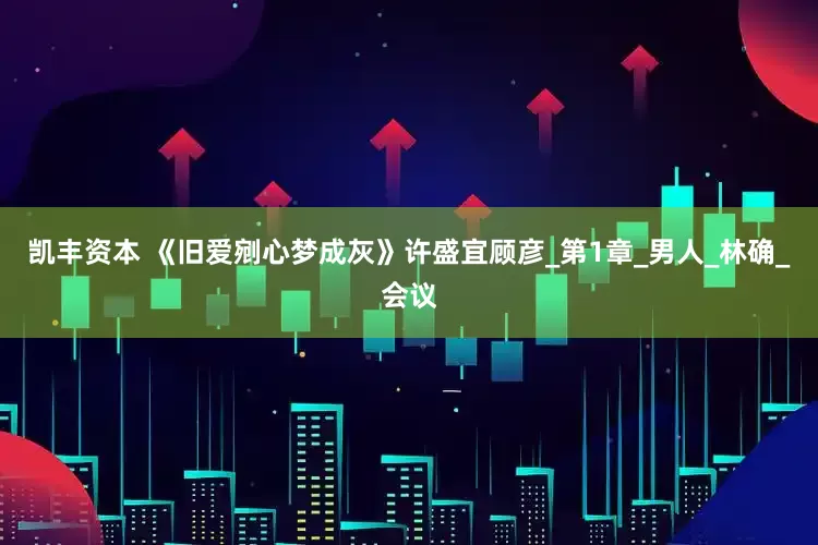 凯丰资本 《旧爱剜心梦成灰》许盛宜顾彦_第1章_男人_林确_会议